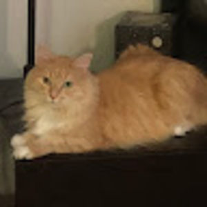 Meet your Posher, Erica